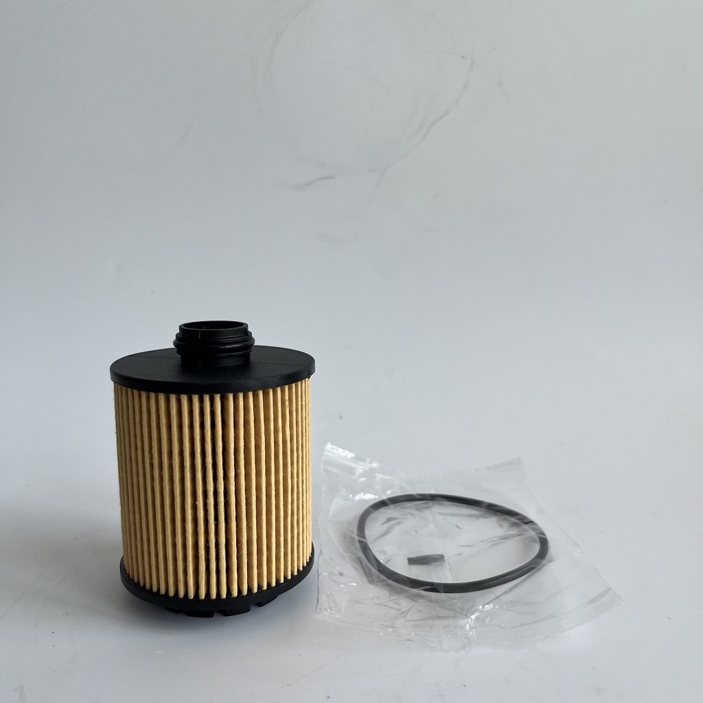 HU7043Z 1612565980 Olejový filter pre Petgeot